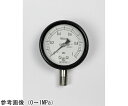 長野計器 密閉型圧力計(60Φ) 立形A枠 0.25MPa 1個 BA10-173(4)