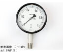 長野計器 密閉型圧力計(100Φ) 立形A枠 0.25MPa 1個 BE10-193(4)