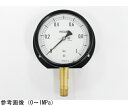 長野計器 密閉型圧力計(100Φ) 立形B枠 0.6MPa 1個 BE10-281(4)