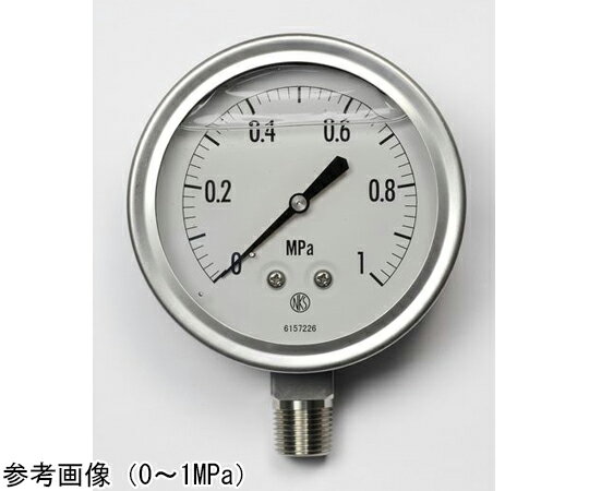 長野計器 グリセリン入圧力計（100Φ） 0.2MPa 1個 GV42-193 1