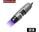 ディノライト(Dino-Lite) Dino-Lite Edge M UV(紫外)400nm/White LWD 1個 DINOAM4115TLFVW