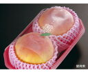 パックスタイル 掛け紙 PS BPフルーツ掛帯フィルム 桃 500枚×10パック入 1ケース(500枚×10パック入) 506579