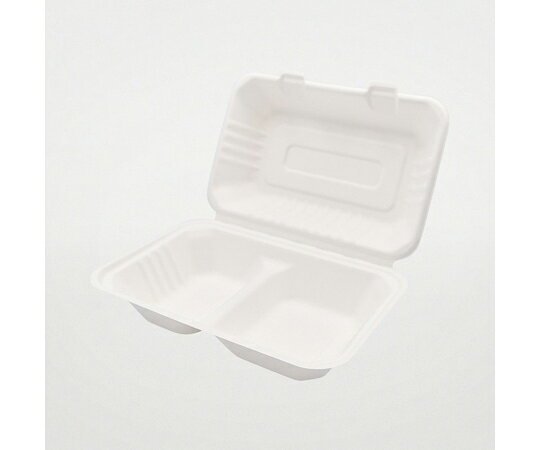 パックスタイル 弁当容器 ABランチ240-150-2 50枚×5パック入 1ケース(50枚×5パック入) 00684429