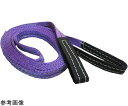 フリーク CEベルトスリングE型 使用荷重800kg 幅25mm 長さ3.5m 1本 65728(4)