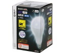 高儀 EARTH MAN LED電球 48W 1個 LL-48A(4)