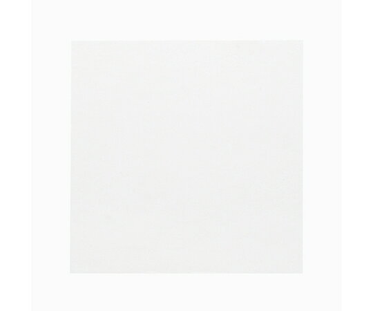 神堂 食品用フィルム 抗菌クリアシート 15×15 100枚入 1袋(100枚入) 004716364