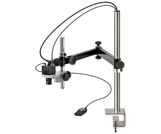 ۡ ޥסʥ˥ѡ1888ܡ8.843ܡ 1å L-KIT953