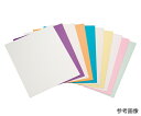 理研コランダム 精密研磨フィルムシート #10000 50枚入 1箱(50枚入) SKF#10000(4)