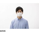 アイリスオーヤマ ナノエアーマスク ふつう PK-NI7L(7マイイリ)