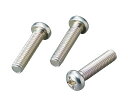 サンコーインダストリー (+)ナベ小ネジ 鉄(三価ホワイト) 100本入 1袋(100本入) M3×45(4)
