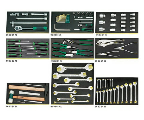 Stahlwille 工具セット 1セット 806/9TCS