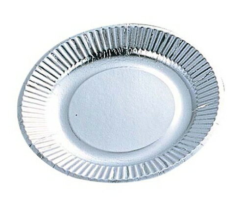 三和紙工 紙皿(100枚入)シルバープレート 05076 9号 1組(100枚入) 7524800