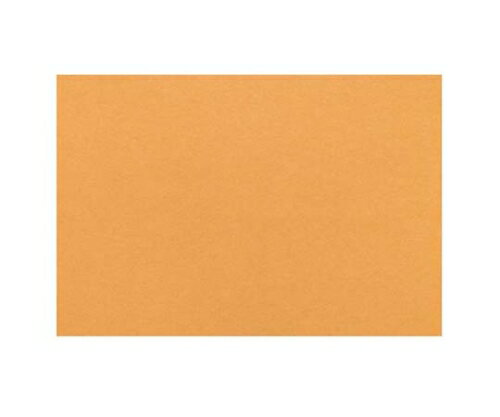 大黒工業 テーブルマット 里紙(100枚入)びわ 1101 1組(100枚入) 7834410