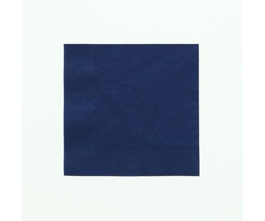 オリエンタル紙業 カラー2PLYナプキン フレンチブルー 約25cm 50枚 1パック(50枚入) 004710248
