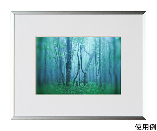 ケンコー・トキナー アルミ額縁　ギャラリー　2L　シルバー 1箱 AGY-2L-SV