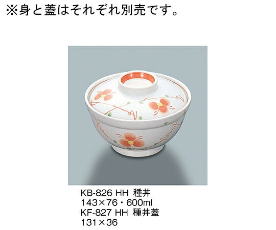 三信化工 種丼　初花 1個 KB-826_HH