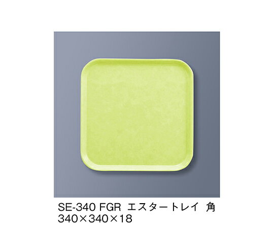  ȥ쥤ѡե󥿥å꡼ 1 SE-340_FGR