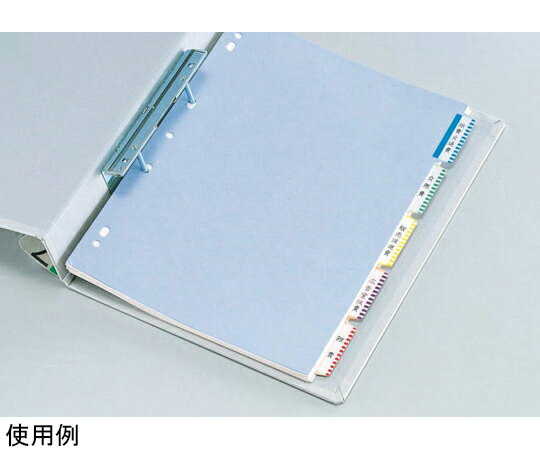 ライオン事務器 見出しラベル 1冊 LC-42