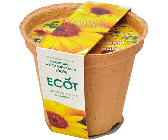 聖新陶芸 スマイル　サンフラワー　エコット 1個 GD-435