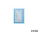 サンユー印刷 シリカゲル クリーンペーパー 30g 300個入 1箱(300個入) NK-CP30