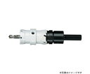 ハウスビーエム ドッチーモ超硬ホルソ SDSセット 1セット DS-18Z