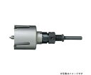 ハウスビーエム ツーバイマスホルソー TM(セット品) 1セット TM-170