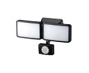 ヤザワコーポレーション AC式 6W LED センサーライト 2灯 1個 SLR6LEA2(3)