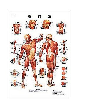 世界基準 3Bサイエンフィティック社