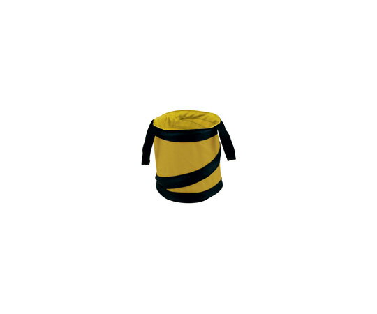 坂謙 トラックスミニ　マスタード 1個 TS-600