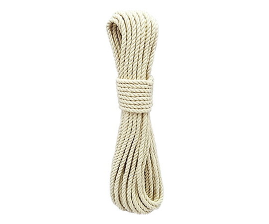 三友産業 ロープシリーズ　綿ロープ　10m×太さ4mm 1本 HR-061