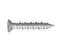 若井産業 バリューパック ビスピタ 皿 5×70mm×ねじ部40mm 40個入 1パック(40個入) BS570