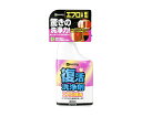 カンペハピオ(KANSAI) 復活洗浄剤 エフロ用 300mL 1個 17660062300