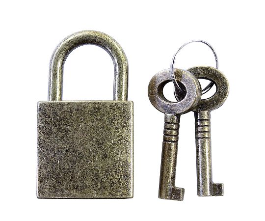 和気産業 アクセサリーロック　混色 1パック IB-141