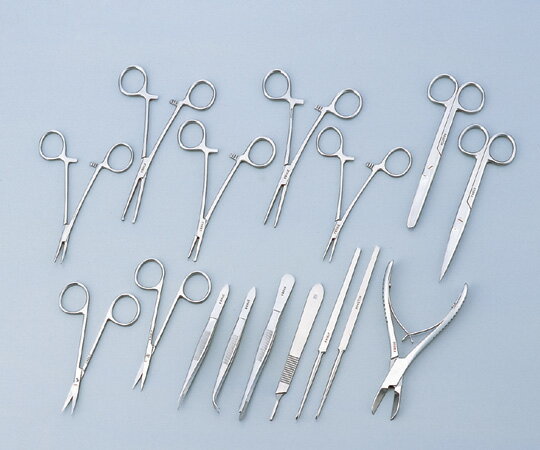 小動物解剖セット　大