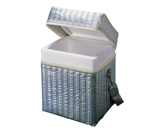 検体輸送箱　No．10（C-CA03）　【あす楽】【アズワン】