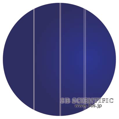 ������̵������ť���åȴ��ġ����饹��