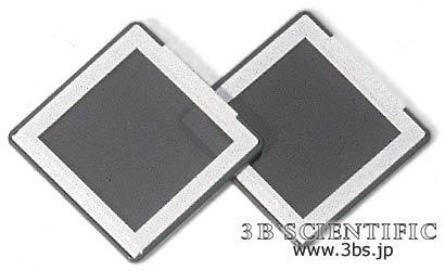 偏光フィルター・2枚セット