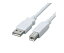 쥳 ե饤ȥ¢USB2.0б֥(AB) USB2-FS3 1ѥå