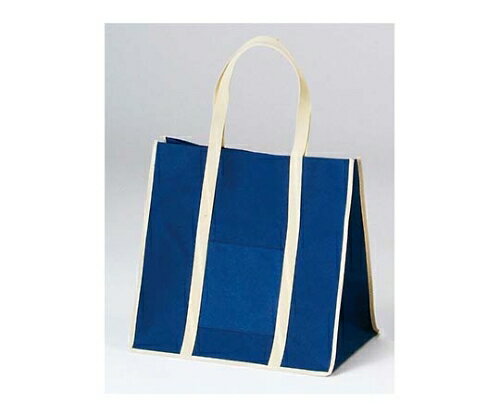 ファインビュー不織布バッグ(10枚入)大 ネイビー 4842500 1組(10枚入)