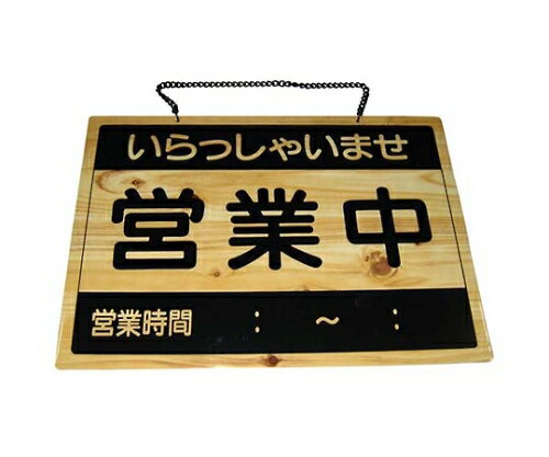 ������ �����ץ�ץ졼�� �Ķ��桦����� OCW-3 8399300 1��