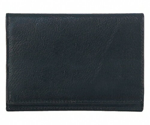 レイメイ藤井 名刺入れ ブラック 50枚分 1個 NN8005B