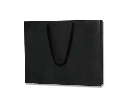 シモジマ HEIKO 紙袋 ファッションバック L 黒 10枚 1パック(10枚入) 006489300