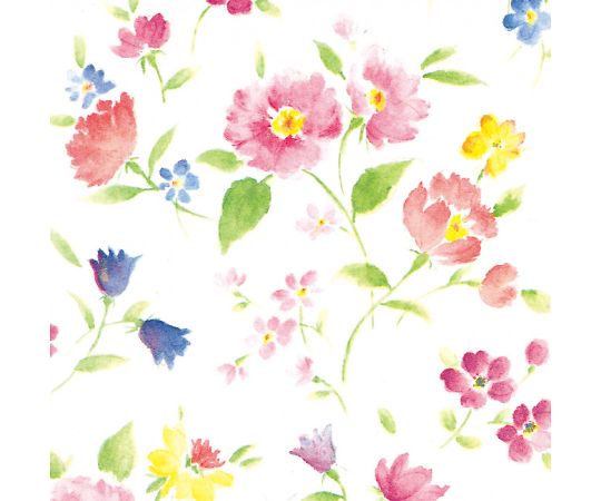 ⥸ HEIKO  Ƚ ֤Ť 100 1ѥå(100) 002353000