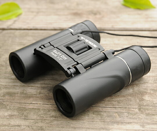 ケンコー・トキナー 8倍DHコンパクト双眼鏡 1個 VT-0821D