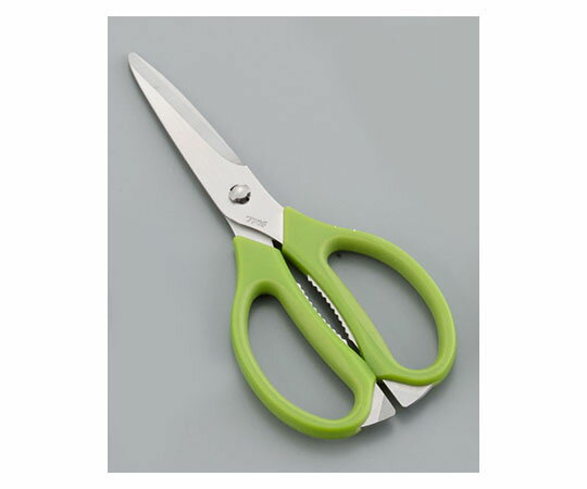 TKG TKG キッチンバサミ(ステンレス) グリーン 1個