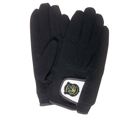 �ڤ��ޤȤᤪ����2�ĥ��åȡۥڥ󥮥󥨡��� �ݥꥹ����ѥ� �֥�å� L G-203 1��