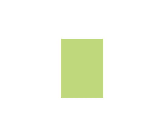 北越コーポレーション オフィス用紙カラーR100　A4　グリーン　500枚×5冊 1箱(500枚×5冊入)