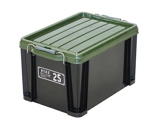 JEJアステージ NT　BOX 25X 1個