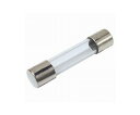 冨士端子工業 ガラス管ヒューズ 250V20A (Φ6.4×30mm) FGBO250V20A 1個