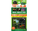 ニチドウ ブラインシュリンプエッグス 24cc 1箱